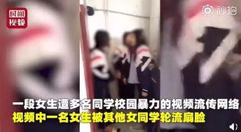 宰羊女孩爆料视频大全集,揭秘背后惊人真相